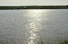 Lacul Rachitisa, Satulung , Foto: WR