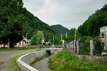 Borpatak , Fotó: WR