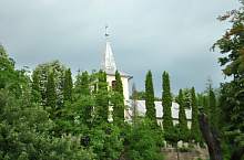 Borpatak , Fotó: WR