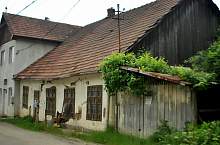 Borpatak , Fotó: WR