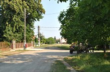 Craidorolt , Foto: WR