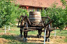 Muzeu, Craidorolt , Foto: WR