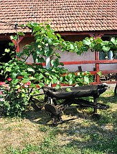 Muzeu, Craidorolt , Foto: WR