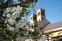 Kaplony , Fotó: fr.Marián