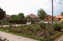 Kaplony , Fotó: fr.Szilveszter