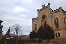 Sinagoga, Carei , Foto: WR