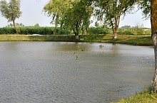 The lake, Ghenci , Photo: WR