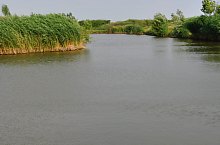 The lake, Ghenci , Photo: WR