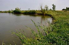 The lake, Ghenci , Photo: WR