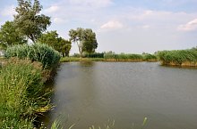 The lake, Ghenci , Photo: WR