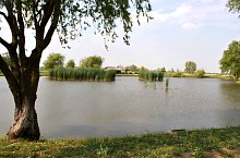 The lake, Ghenci , Photo: WR