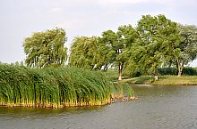 The lake, Ghenci , Photo: WR