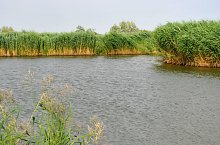 The lake, Ghenci , Photo: WR