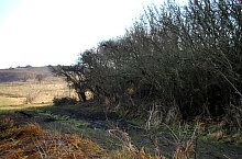 Baptisteriul, Garbau , Foto: WR