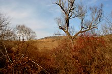 Baptisteriul, Garbau , Foto: WR