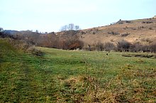 Baptisteriul, Garbau , Foto: WR