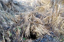 Baptisteriul, Garbau , Foto: WR