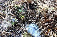 Baptisteriul, Garbau , Foto: WR