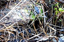 Baptisteriul, Garbau , Foto: WR