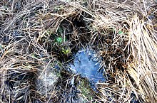 Baptisteriul, Garbau , Foto: WR