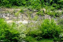 Cascada Sipot, Buciumi , Foto: Călin Ciora