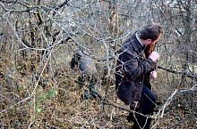 Cripta Matskási, Popesti , Foto: WR
