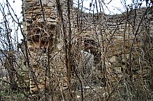 Biserica reformata, Sardu , Foto: WR