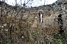 Biserica reformata, Sardu , Foto: WR