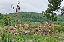 Bay castle, Treznea , Photo: Kürti Barna