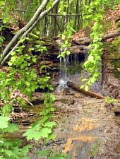 A Treznea völgyi vízesések, Ördögkút , Fotó: Csupor Jenő