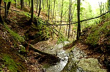 A Treznea völgyi vízesések, Ördögkút , Fotó: Csupor Jenő