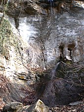 A Treznea völgyi vízesések, Ördögkút , Fotó: Istvan Dumitru