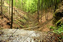 A Treznea völgyi vízesések, Ördögkút , Fotó: Csupor Jenő