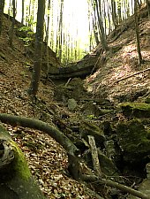 A Treznea völgyi vízesések, Ördögkút , Fotó: Mezei Elemér