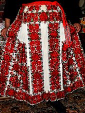 Viștea, Casa, Foto: WR