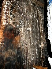 Balan Joseni, Biserica de lemn, Balan , Foto: WR