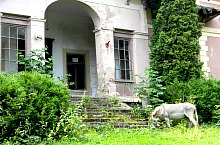 Zsombory castle, Zimbor , Photo: Rácz István