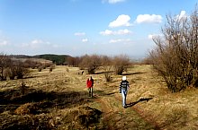 Rezervatia Izvoarele Barcaului, Tusa , Foto: Mezei Elemér