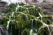 Rezervatia Izvoarele Barcaului, Tusa , Foto: Mezei Elemér
