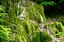 Rezervatia Izvoarele Barcaului, Tusa , Foto: Margareta Vereș Pop