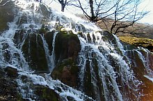 Rezervatia Izvoarele Barcaului, Tusa , Foto: Pál Gyöngyi