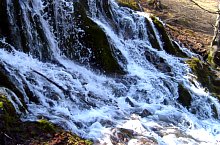 Rezervatia Izvoarele Barcaului, Tusa , Foto: Pál Gyöngyi