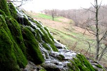 Rezervatia Izvoarele Barcaului, Tusa , Foto: Csupor Jenő