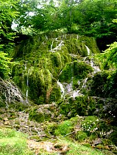 Rezervatia Izvoarele Barcaului, Tusa , Foto: Margareta Vereș Pop
