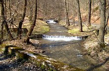 Rezervatia Izvoarele Barcaului, Tusa , Foto: Pál Gyöngyi