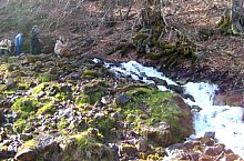 Rezervatia Izvoarele Barcaului, Tusa , Foto: Pál Gyöngyi