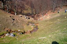 Rezervatia Izvoarele Barcaului, Tusa , Foto: Pál Gyöngyi