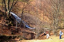 Rezervatia Izvoarele Barcaului, Tusa , Foto: Pál Gyöngyi