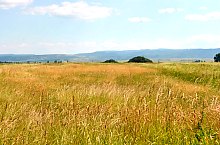 Curganii, Nusfalau , Foto: WR