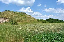 Curganii, Nusfalau , Foto: WR